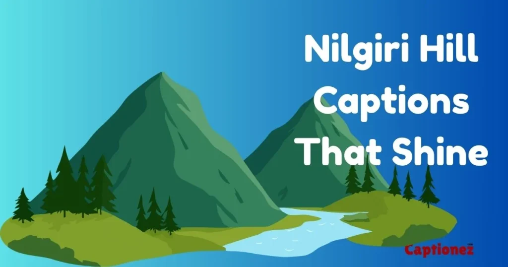 Nilgiri Hill Captions That Shine